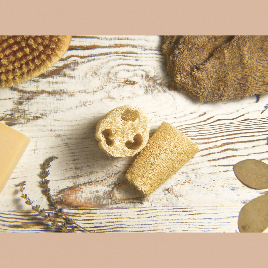 Luffa | Lightly Exfoliating | Facial Sponge