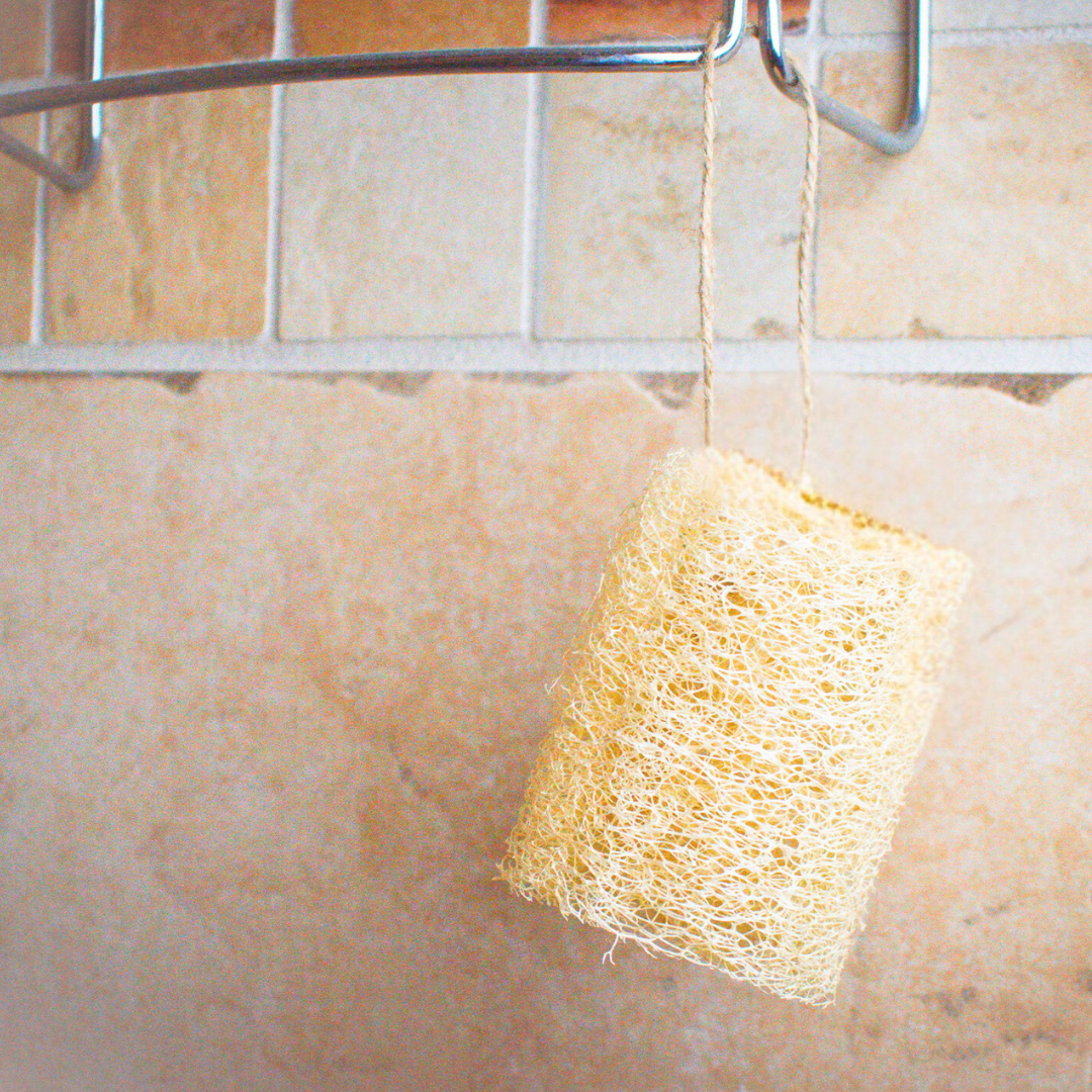 Luffa | Lightly Exfoliating | Facial Sponge