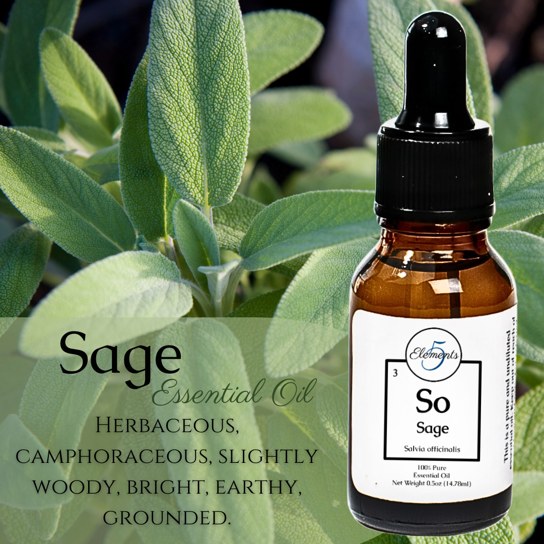 Sauge | Huile essentielle | Salvia officinalis