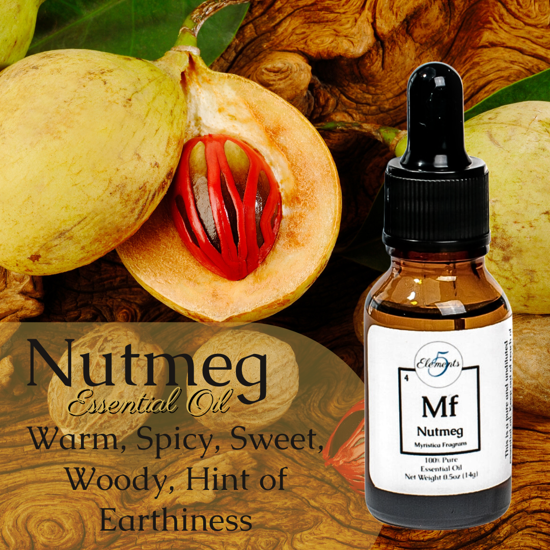Nutmeg | Essential Oil | Myristica Fragrans