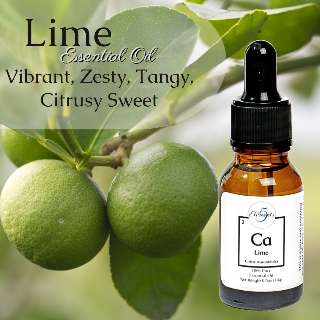 Lime Distilled | Essential Oil | Citrus Aurantifolia