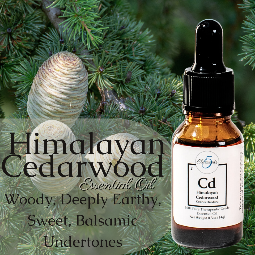 Bois de cèdre de l’Himalaya | Huile essentielle | Cèdre Déodora