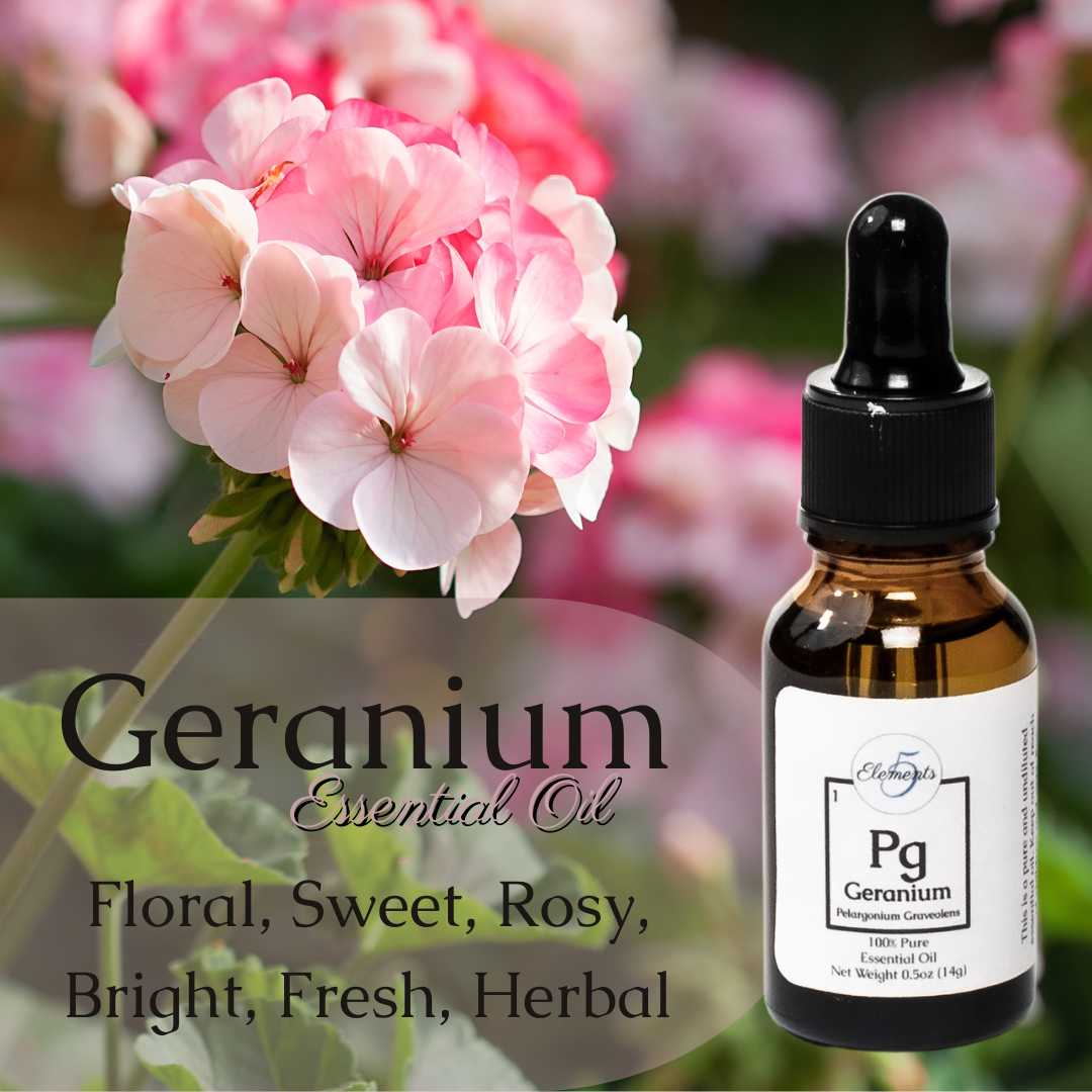 Geranium | Essential Oil | Pelargonium graveolens