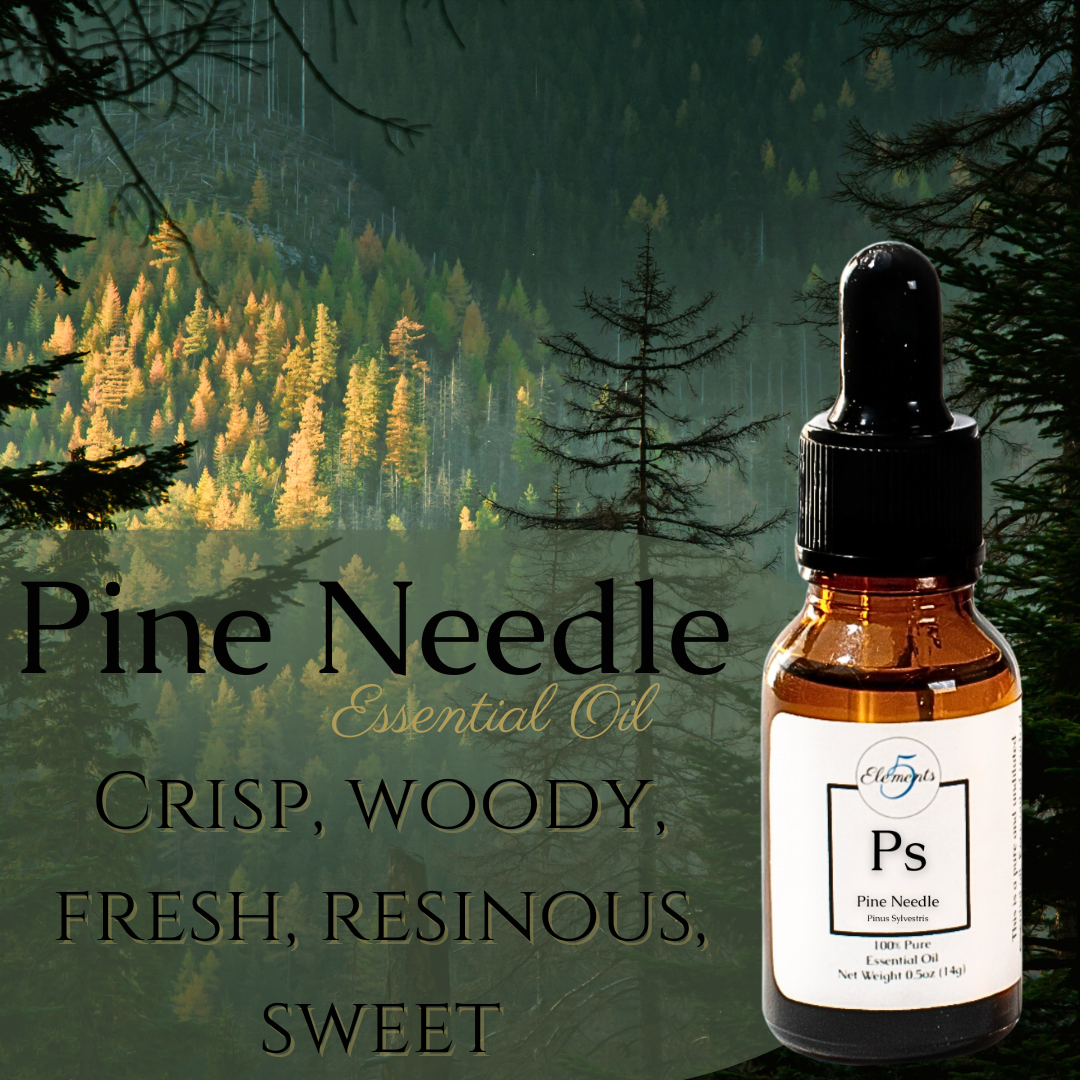 Aceite esencial de agujas de pino | Pinus sylvestris