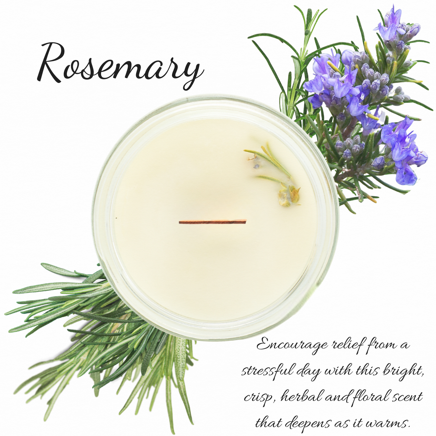 Rosemary | Essential Oil | 7oz Candle