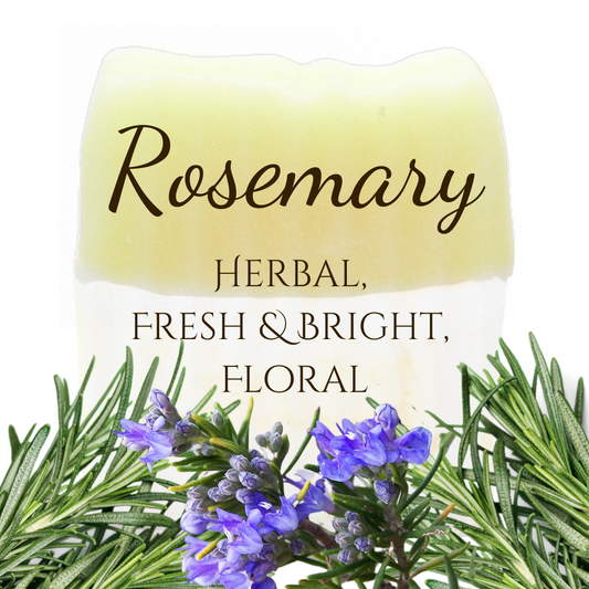 Romarin | Savon en barre aux huiles essentielles