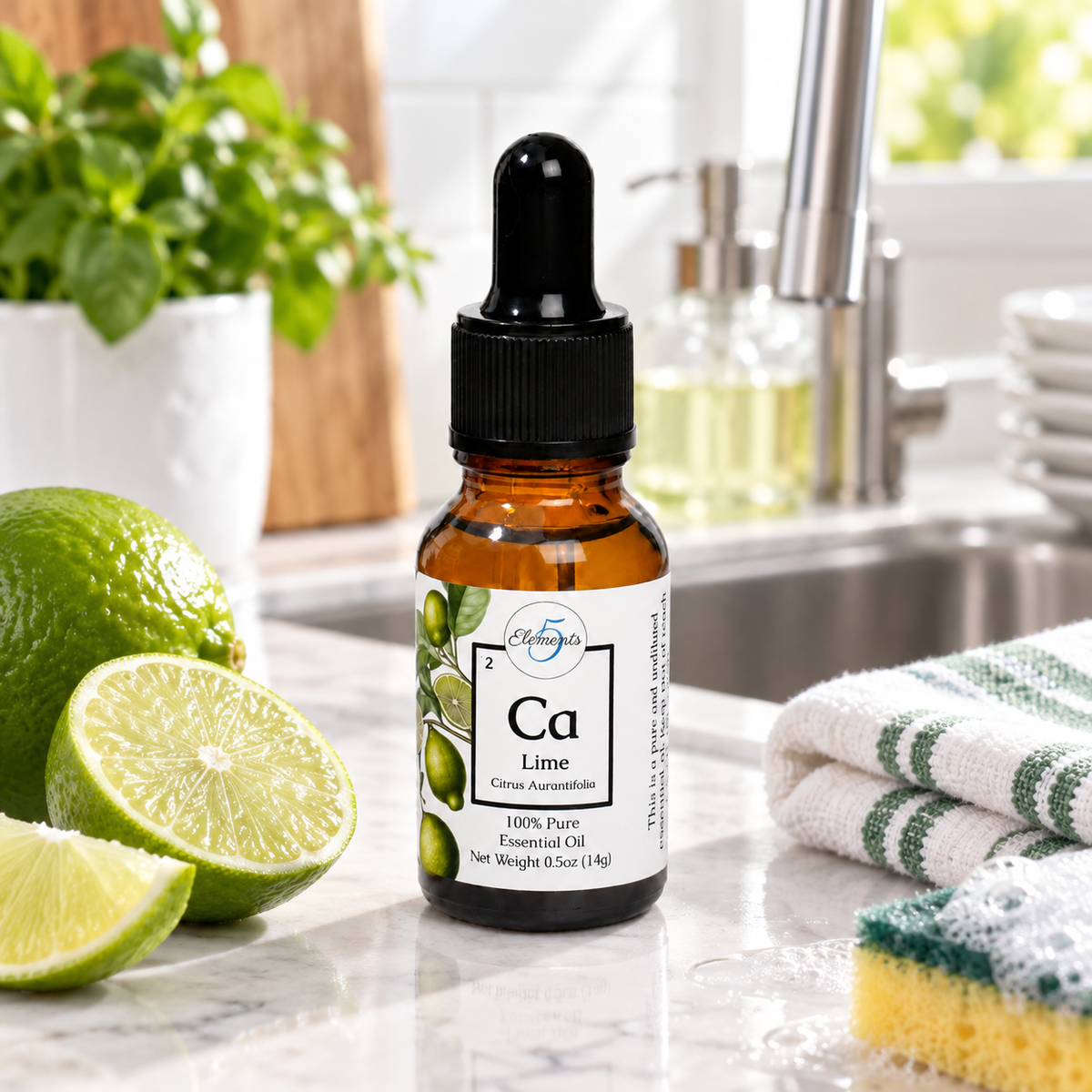 Lime | Essential Oil | Citrus Aurantifolia