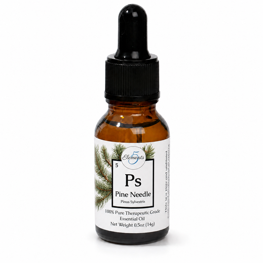 Pine Needle | Essential Oil | Pinus sylvestris