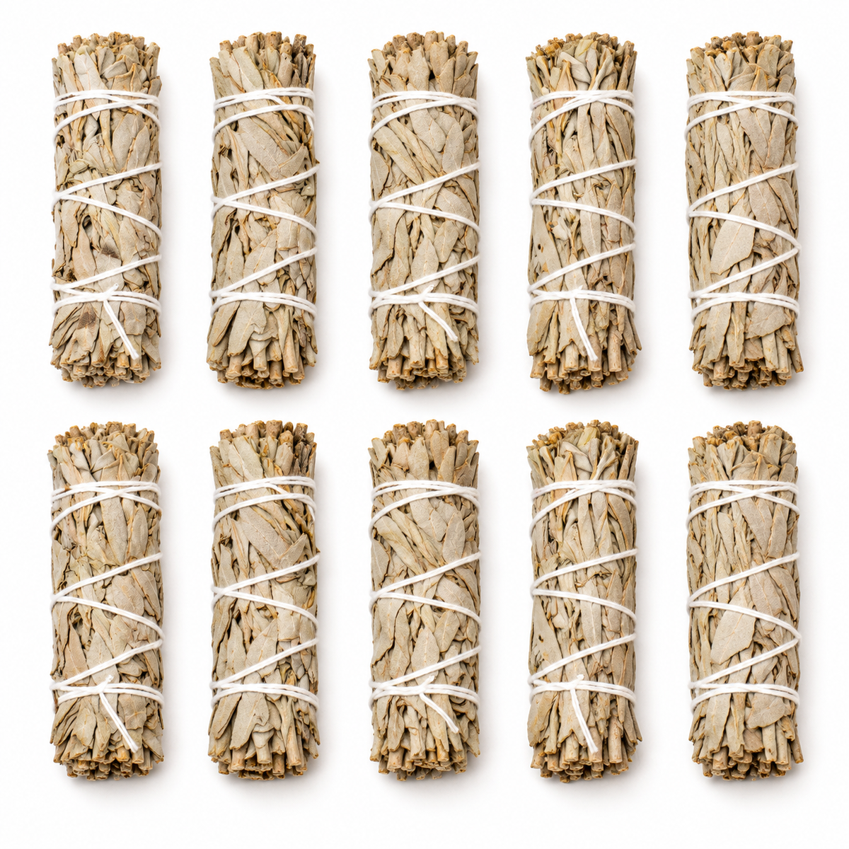 White Sage | Sun-Dried | 10 Smudge Sticks