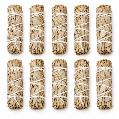 White Sage | Sun-Dried | 10 Smudge Sticks