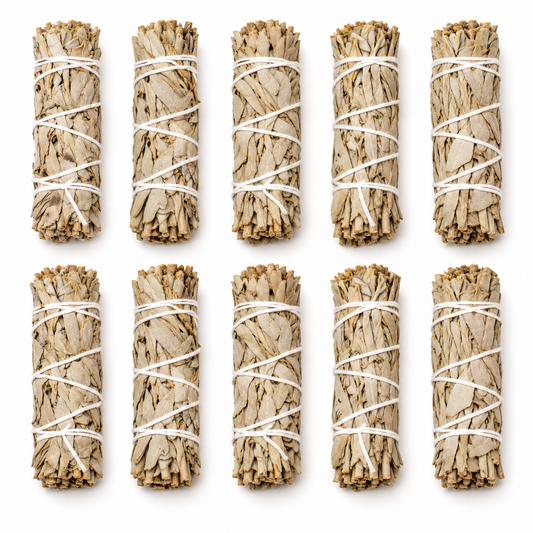 White Sage | Sun-Dried | 10 Smudge Sticks