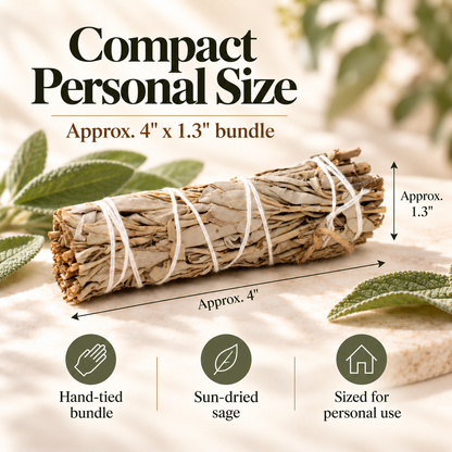 White Sage | Sun-Dried | 5 Smudge Sticks