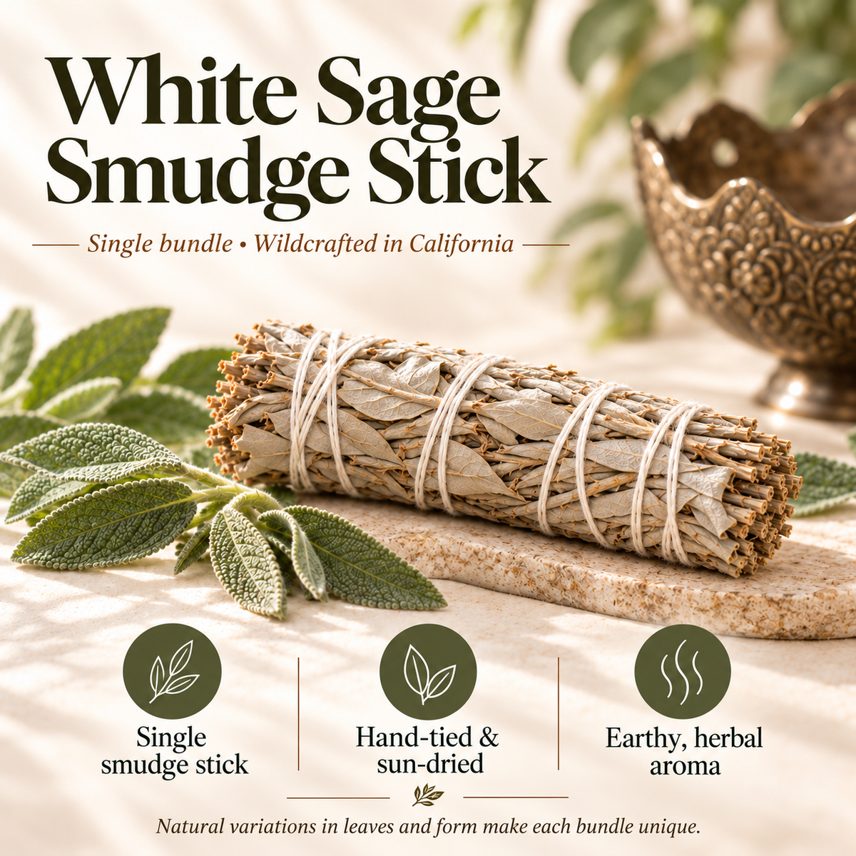 White Sage | Sun-Dried | 5 Smudge Sticks