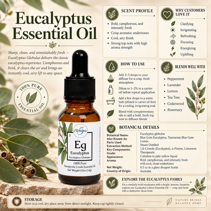 Eucalyptus | Huile essentielle | Eucalyptus globulus
