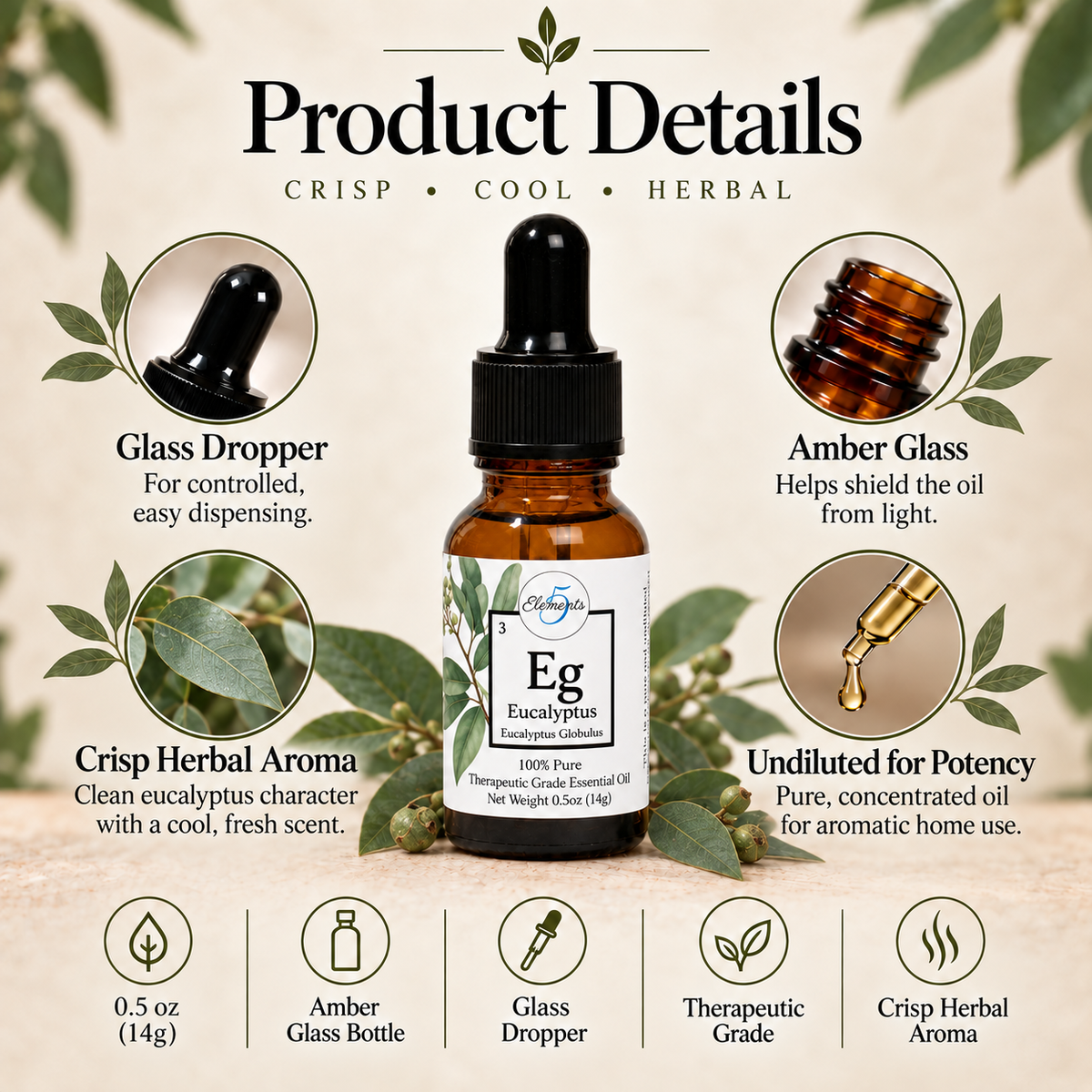 Eucalyptus | Huile essentielle | Eucalyptus globulus