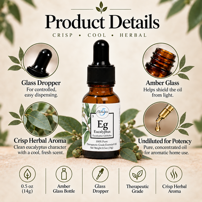 Eucalyptus | Huile essentielle | Eucalyptus globulus