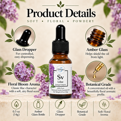 Lilac | Essential Oil | Syringa Vulgaris