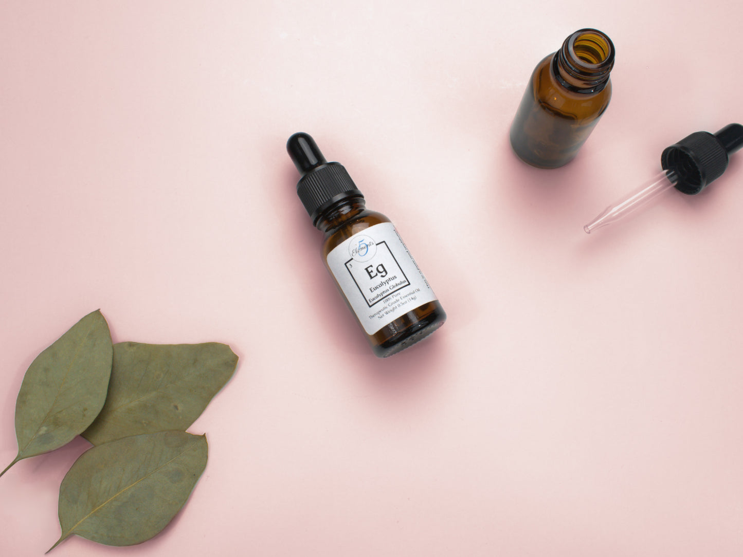 Eucalyptus | Essential Oil | Eucalyptus globulus