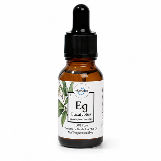 Eucalyptus Globulus | Essential Oil | Eucalyptus globulus