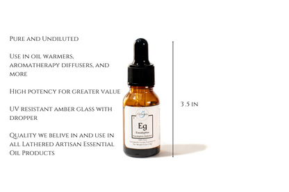 Eucalyptus | Essential Oil | Eucalyptus globulus