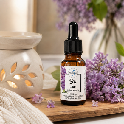 Lilac | Essential Oil | Syringa Vulgaris