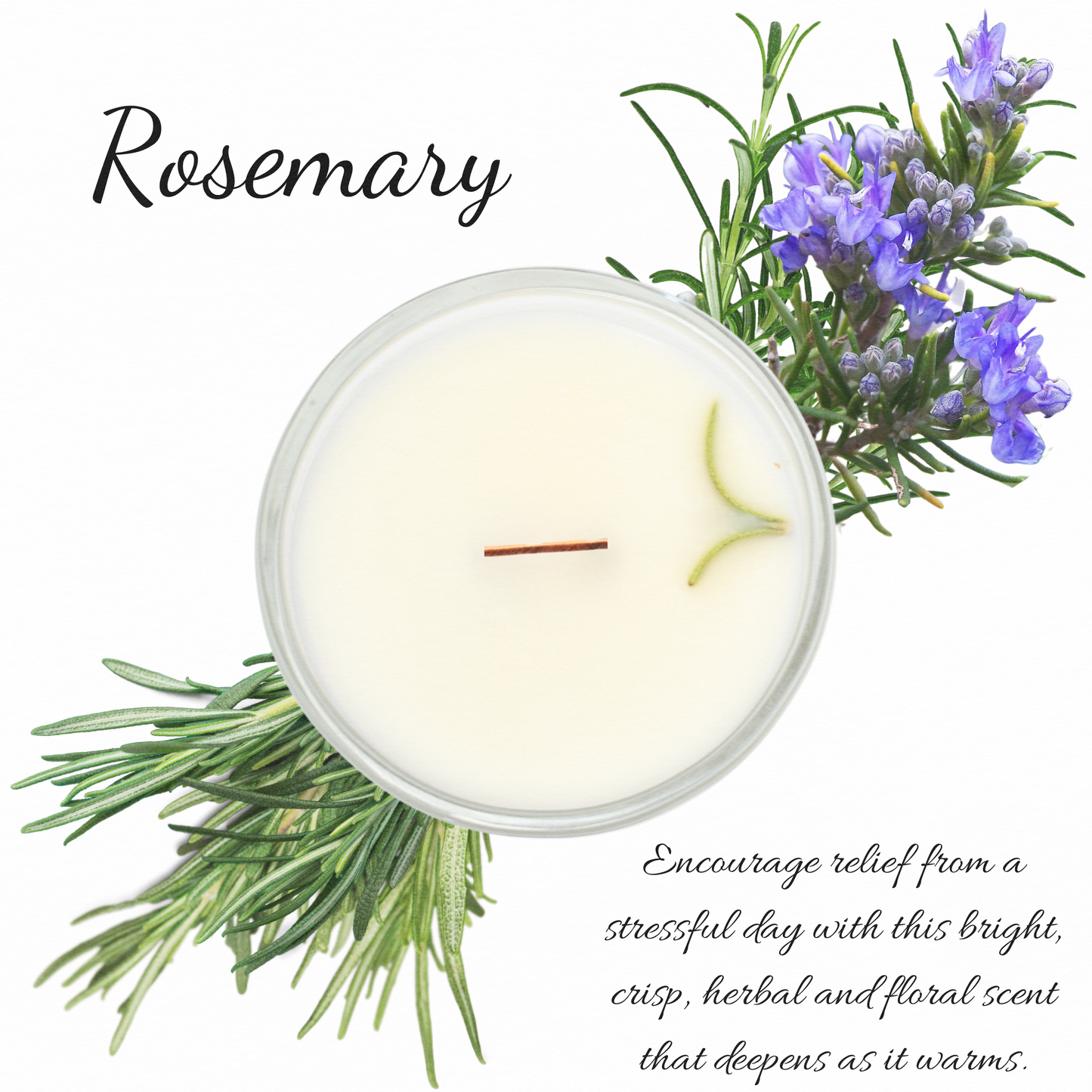 Rosemary | Essential Oil | Tealight Glass Cup Candles