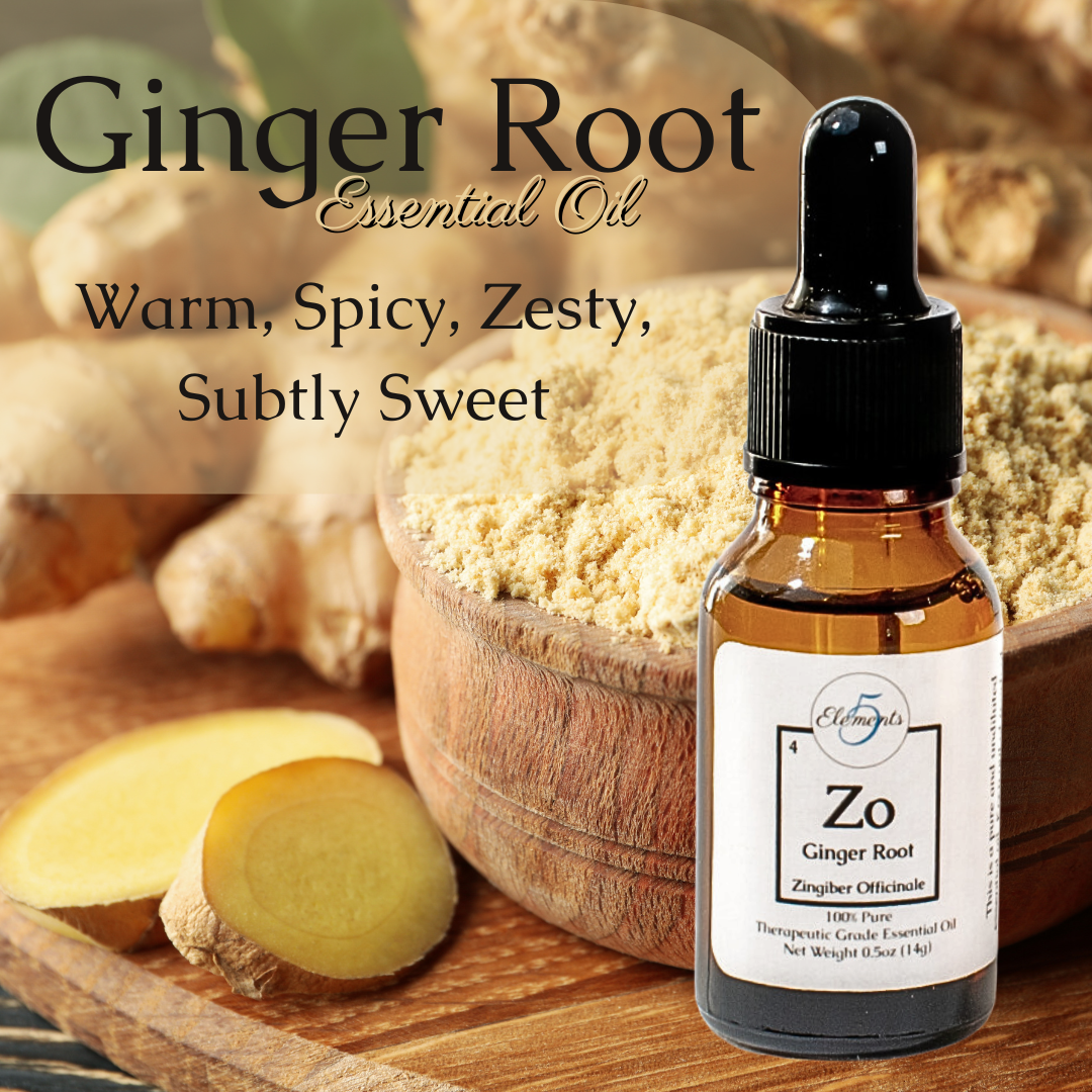 Raíz de jengibre | Aceite esencial | Zingiber officinale