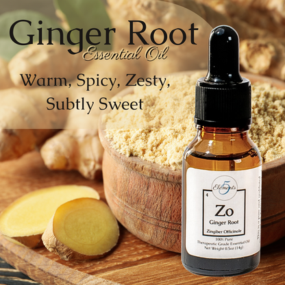 Raíz de jengibre | Aceite esencial | Zingiber officinale