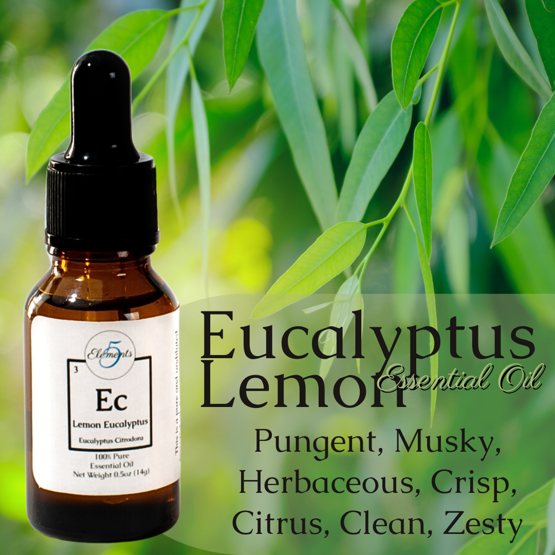 Aceite esencial de eucalipto limón | Eucalipto citrodora